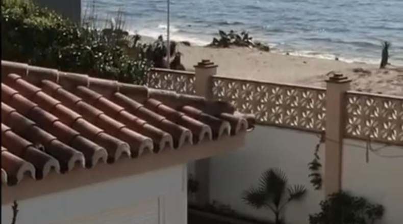 Málaga - Marbella - 1100m2