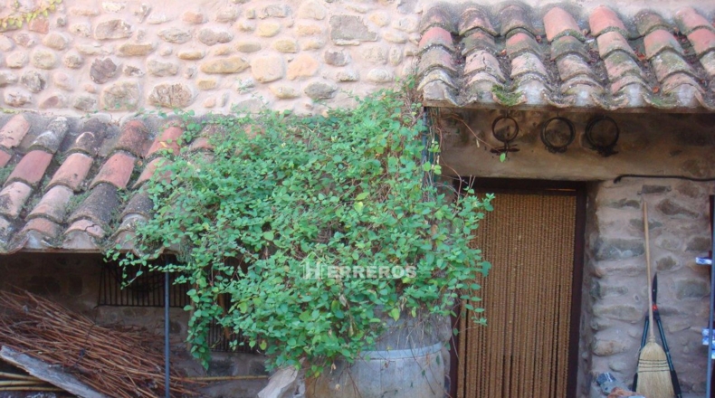 La Rioja - Las Ruedas de Ocón - 400m2