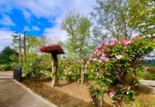 Chalet independiente con terreno en venta en Zas ref: TR396511 foto