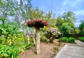 Chalet independiente con terreno en venta en Zas ref: TR396511 foto