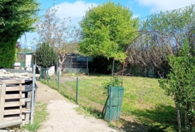 Foto 19