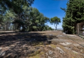 Terreno no urbanizable en venta en la España, Murcia, ref: TR404692 foto