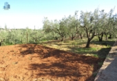 Xalet independent amb terreny en venda a la España, Onda, ref.: TR404999 foto