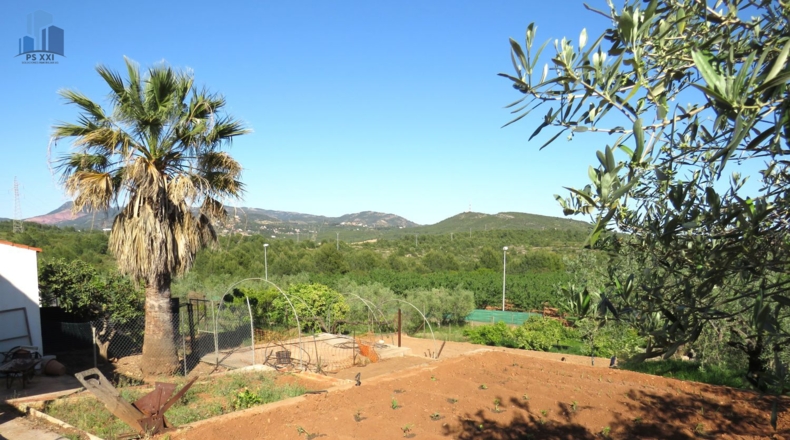 Castellón - Onda - 2498m2