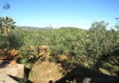 Xalet independent amb terreny en venda a la España, Onda, ref.: TR404999 foto