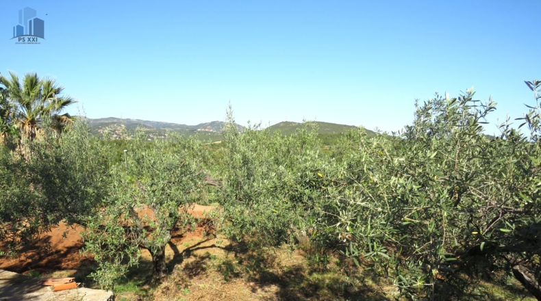 Castellón - Onda - 2498m2