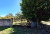 Finca rústica en venta en Casa Nueva ref: TR350195 foto