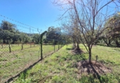 Finca rústica en venta en Casa Nueva ref: TR350195 foto