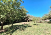 Finca rústica en venta en Casa Nueva ref: TR350195 foto