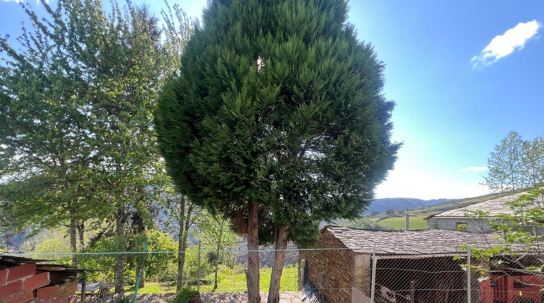 Lugo - Vilares - 3000m2