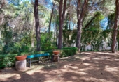 Chalet independiente con terreno en venta en Albacete ref: TR404992 foto