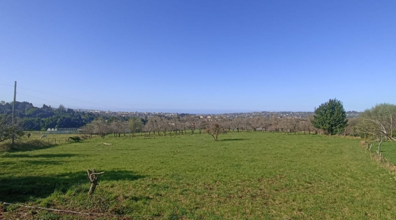 Astúries - Gijón - 1571m2