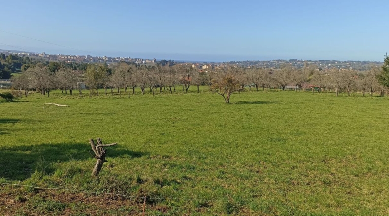 Astúries - Gijón - 1571m2