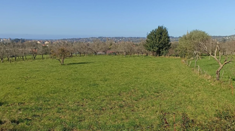 Astúries - Gijón - 1571m2