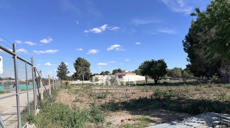 Albacete - Hellín - 777m2