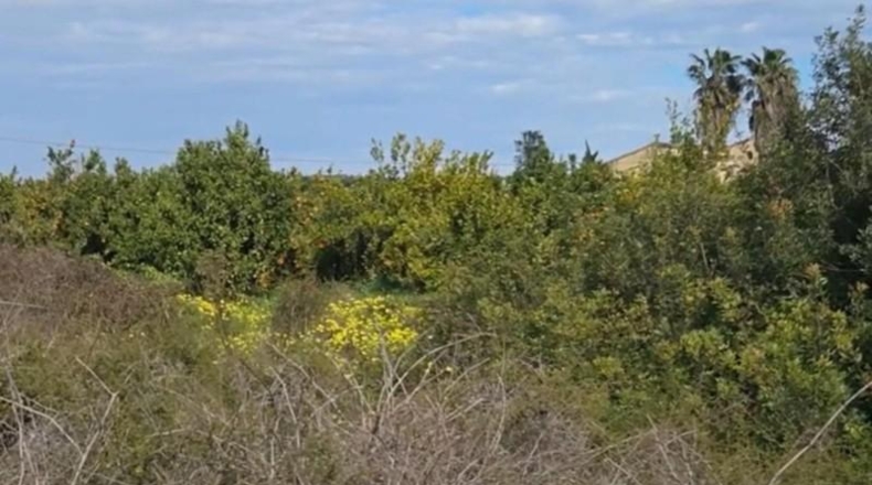 Valencia - Gandía - 6624m2