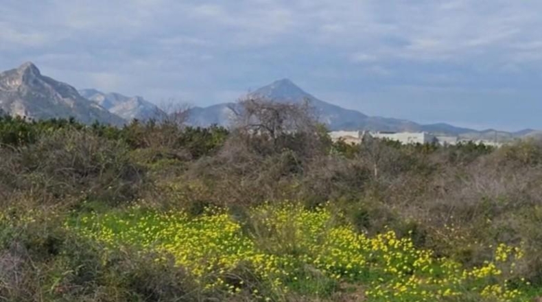 Valencia - Gandía - 6624m2