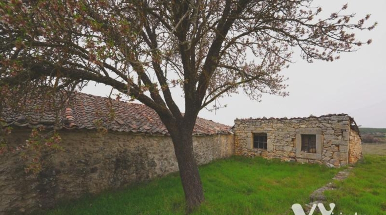 Segòvia - Montejo de la Vega de la Serrezuela - 379m2