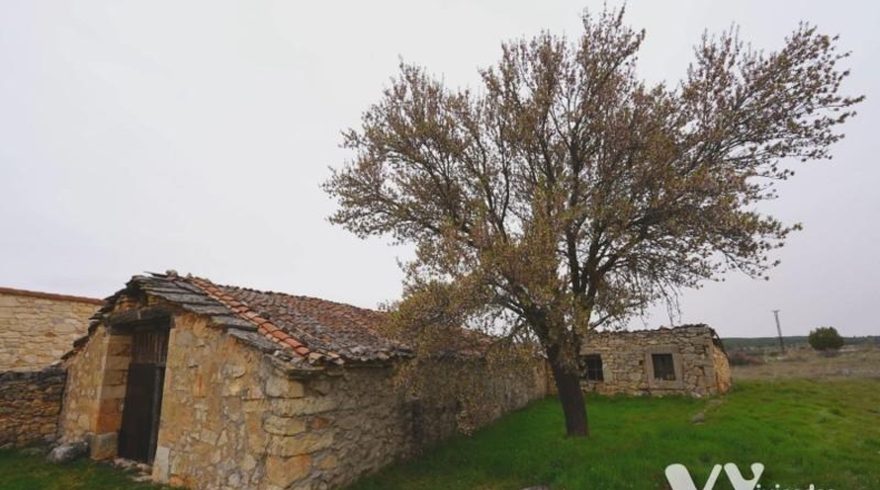 Segòvia - Montejo de la Vega de la Serrezuela - 379m2