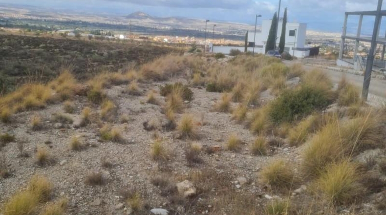 Granada - La Zubia - 850m2