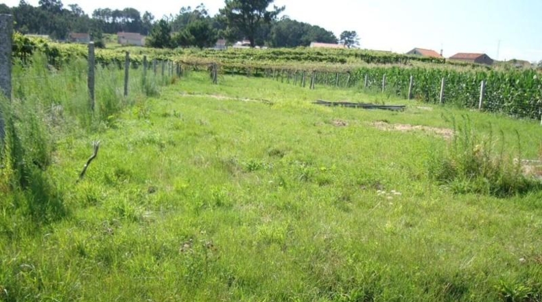Pontevedra - Sanxenxo - 1272m2