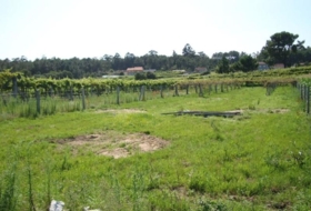 Sangenjo 1435&nbsp;м²