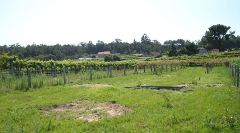 Pontevedra - Sanxenxo - 1272m2