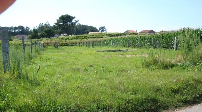 Pontevedra - Sanxenxo - 1272m2
