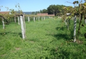 Sòl urbà en venda a la España, Sangenjo, ref.: TR116625 foto