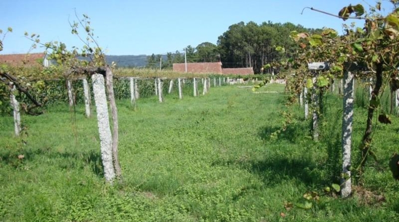 Pontevedra - Sanxenxo - 1272m2