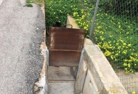 Foto 6