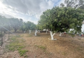 Casa de campo con terreno en venta en la España, Guadalcázar, ref: TR404614 foto