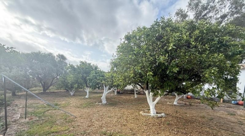 Córdoba - Guadalcázar - 3200m2