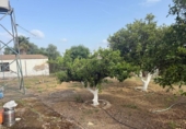 Casa de campo con terreno en venta en la España, Guadalcázar, ref: TR404614 foto
