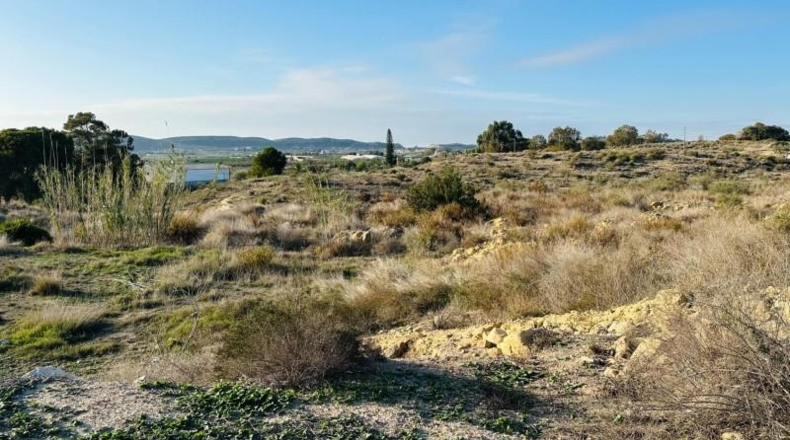 Alicante - Alicante - 16561m2