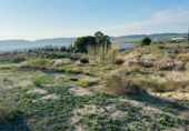 Terreny no urbanitzable en venda a la España, Alacant, ref.: TR181143 foto