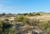Terreny no urbanitzable en venda a la España, Alacant, ref.: TR181143 foto