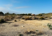 Terreny no urbanitzable en venda a la España, Alacant, ref.: TR181143 foto