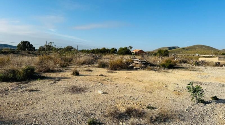 Alicante - Alicante - 16561m2