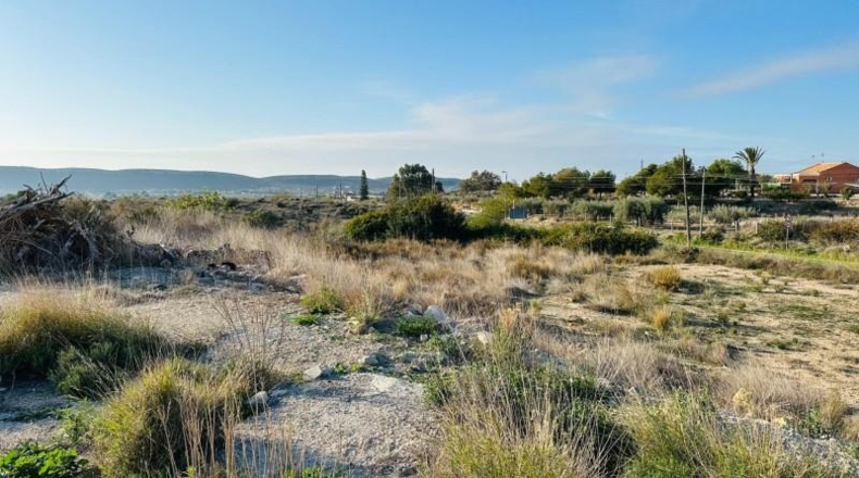 Alicante - Alicante - 16561m2