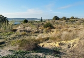 Terreny no urbanitzable en venda a la España, Alacant, ref.: TR181143 foto