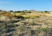 Terreny no urbanitzable en venda a la España, Alacant, ref.: TR181143 foto