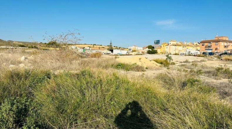 Alicante - Alicante - 16561m2