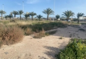Villa con terreno en venta en la España, Elche, ref: TR399150 foto