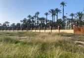 Villa con terreno en venta en la España, Elche, ref: TR399150 foto