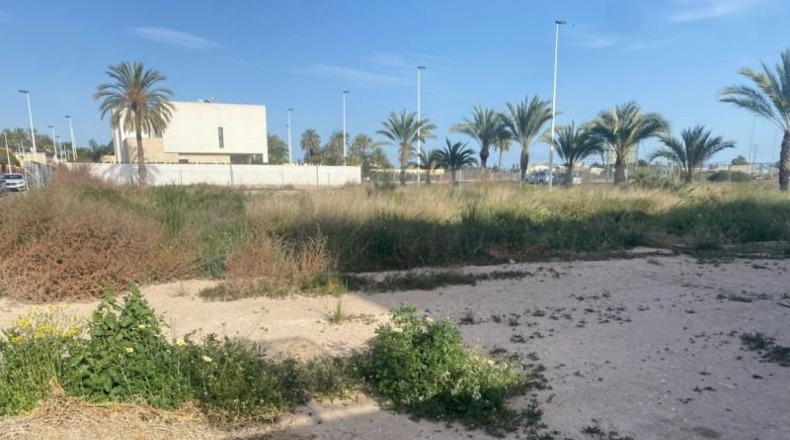 Alicante - Elche - 250m2