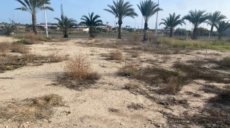 Alicante - Elche - 250m2