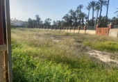 Villa con terreno en venta en la España, Elche, ref: TR399150 foto