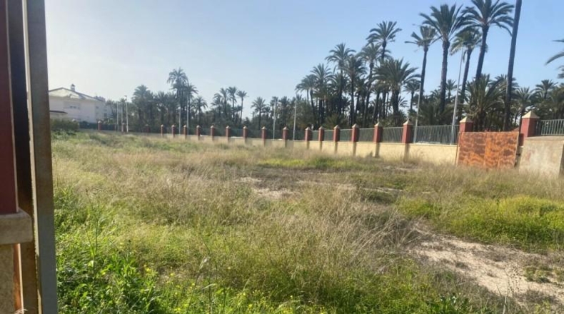 Alicante - Elche - 250m2