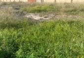 Villa con terreno en venta en la España, Elche, ref: TR399150 foto